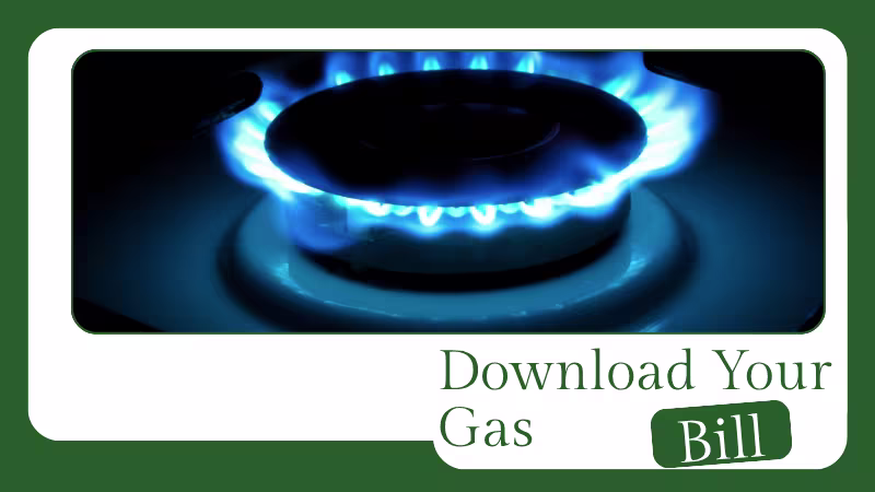 Doenload gas duplicate bill