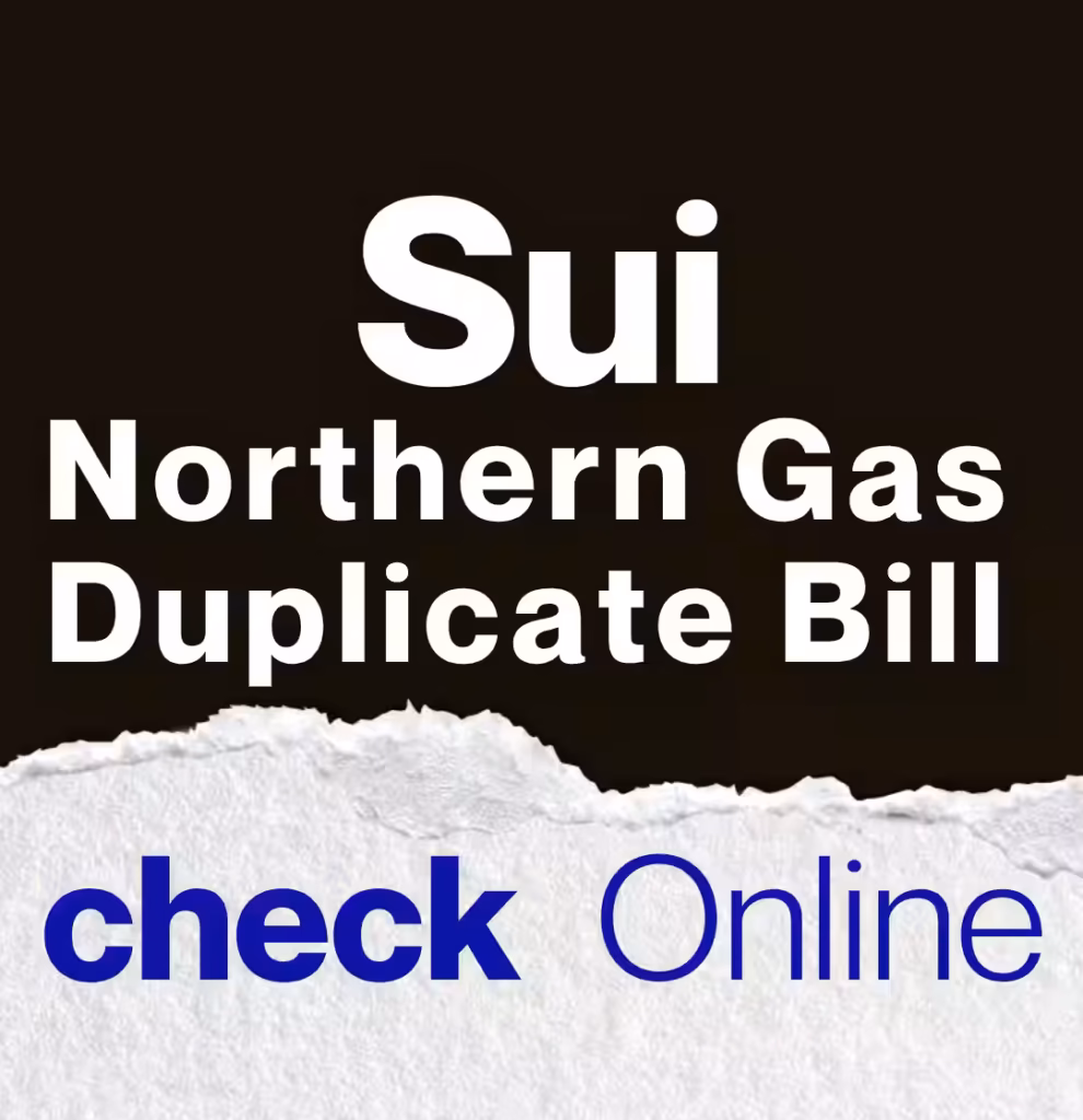 Sui Northern Gas SNGPL duplicate bill check e1782735058538 15 days petrol price